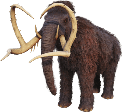 Mammouth