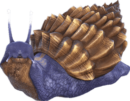Achatina